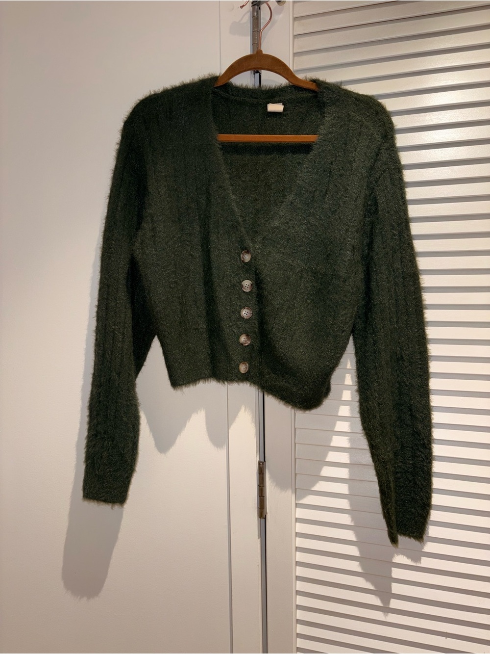 Urban Outfitters Dark Green Fuzzy V-Neck Button Front Sweater